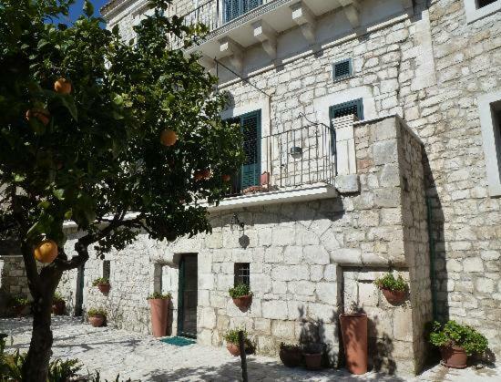 B&B Il Giardino Dei Mandarini Μόντικα Εξωτερικό φωτογραφία